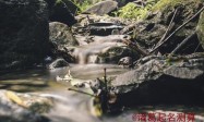 100个好听双胞胎男孩名字