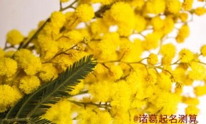 生辰八字五行属性都有什么样的性格特点